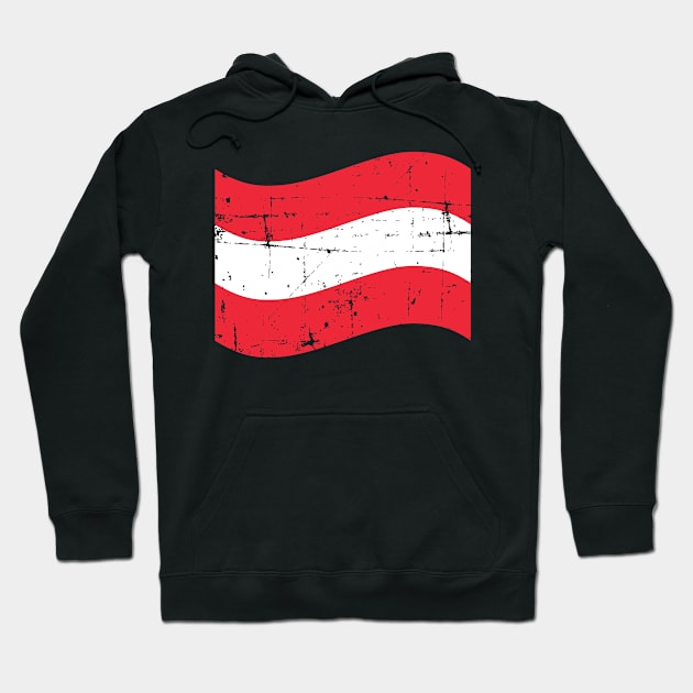 Austria flag Hoodie by Designzz